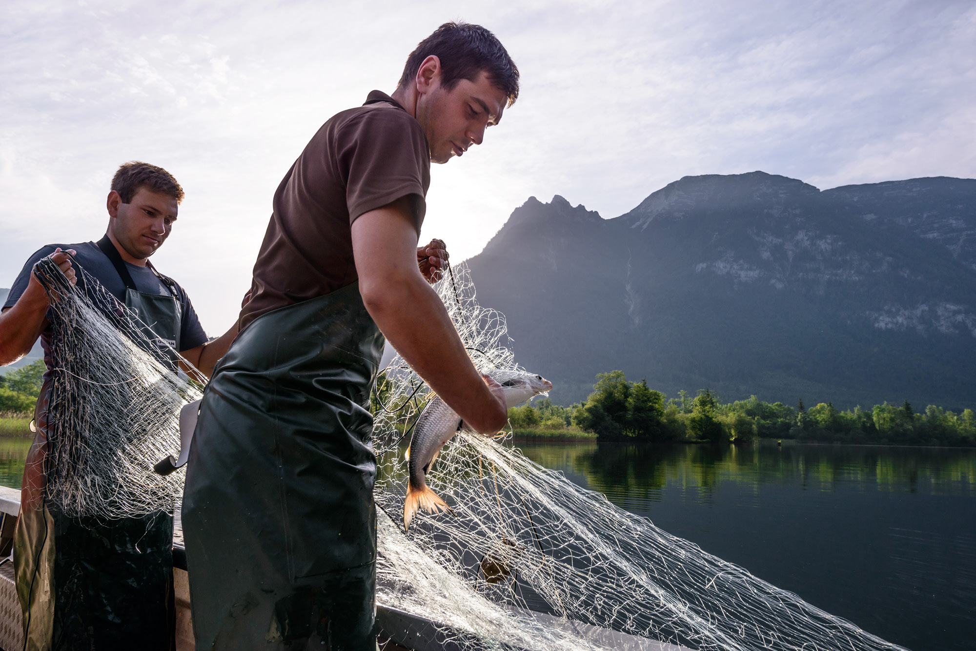 Lieferant für Genuss am See: Fischerei Ausseerland